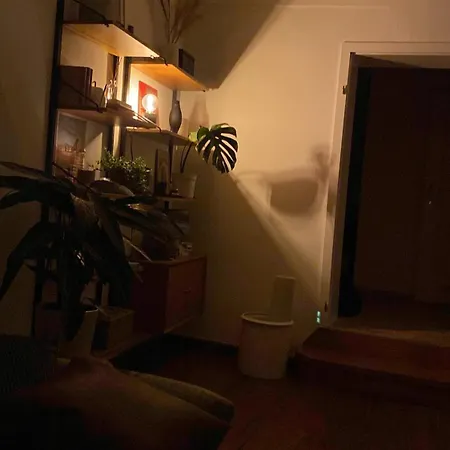 Lejlighed Boutique Parkstrasse Passau