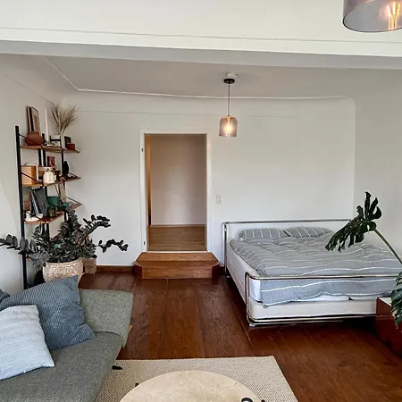 Altbauwohnung Mit Privater Laube - Blick Auf Dom&altstadt Passau